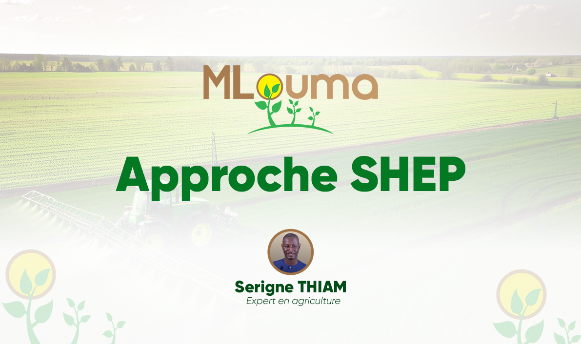 L’APPROCHE SHEP 